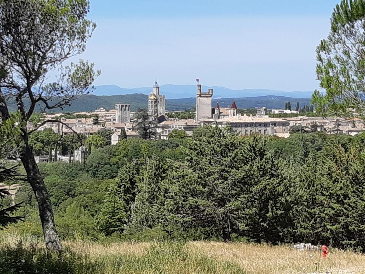 Le Mas De Tiomka Saint-Maximin  Esterno foto
