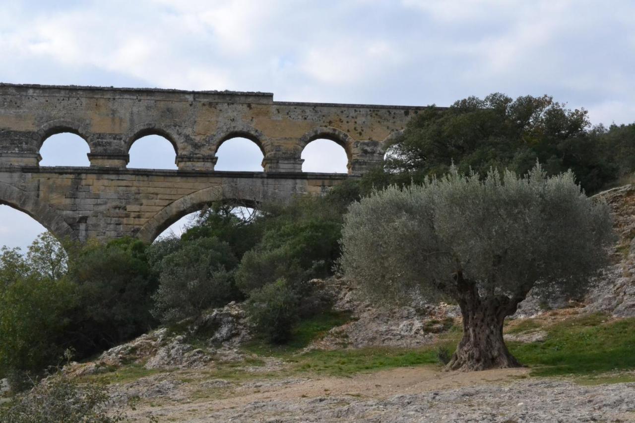 Le Mas De Tiomka Saint-Maximin  Esterno foto